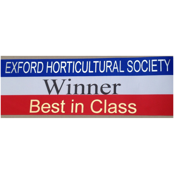 Tri-coloured Sash -  printed on the front and back